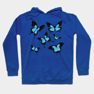 Blue butterflies Hoodie